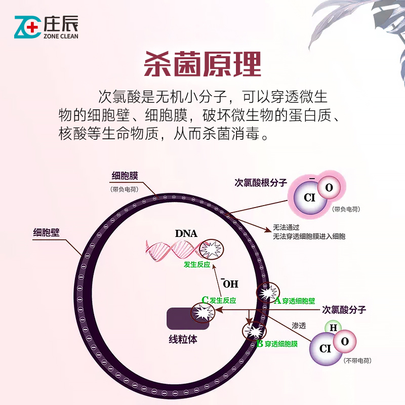 庄辰 次氯酸消毒液喷雾杀菌率99.99%高效安全进口无毒亲肤无刺激全方位保护 母婴专用消毒喷雾50ml