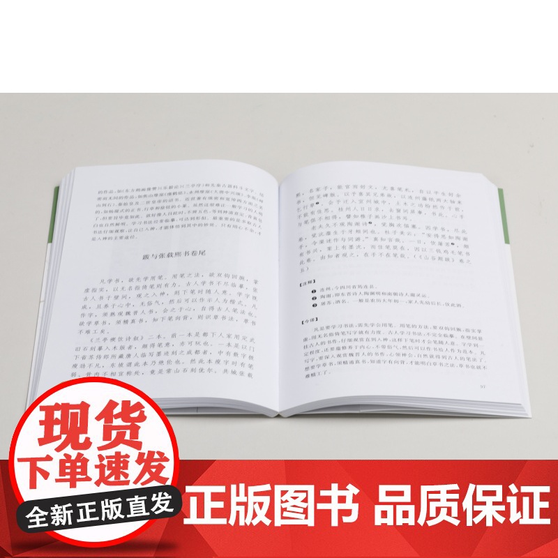 山谷书画论译注 历代书画名著译注丛书 书法艺术理论 黄庭坚撰 徐新韵译 上海书画出版社高清大图
