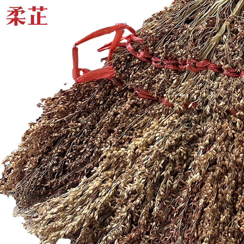 柔芷 金丝苗扫把 普 个高清大图