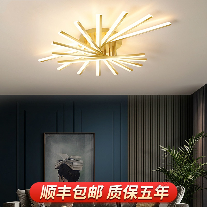 苏宁放心购 led灯客厅灯卧室灯餐厅灯书房花形线条创意个性北欧现代简约大气灯饰灯具套餐高清大图