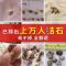 [茶进石出]排石茶鸡内金石清茶碎石打石茶去石肾胆尿囊化石茶 石清茶一袋40包(大分量)