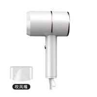 铁锤吹风筒家用学生宿舍专用静音迷你速干大功率冷热调节款电吹风 珍珠白 [800瓦]学生实惠款