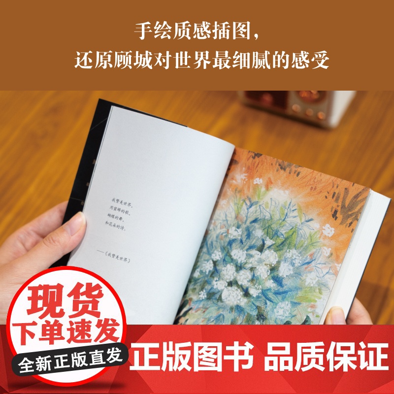 [新东方店]在大地上画满窗子 顾城的诗 一代人我是一个任性的孩子远和近月亮和我 我要成为太阳等散文诗集 东方名家经典高清大图