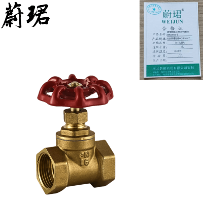 蔚珺铜截止阀6分内螺纹DN20mm个