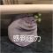 jellycat茄子先生玩偶公仔毛绒玩具娃娃抱枕创意搞怪男生日礼物女 茄总 20cm[茄总表情包 祖国版无拉链]