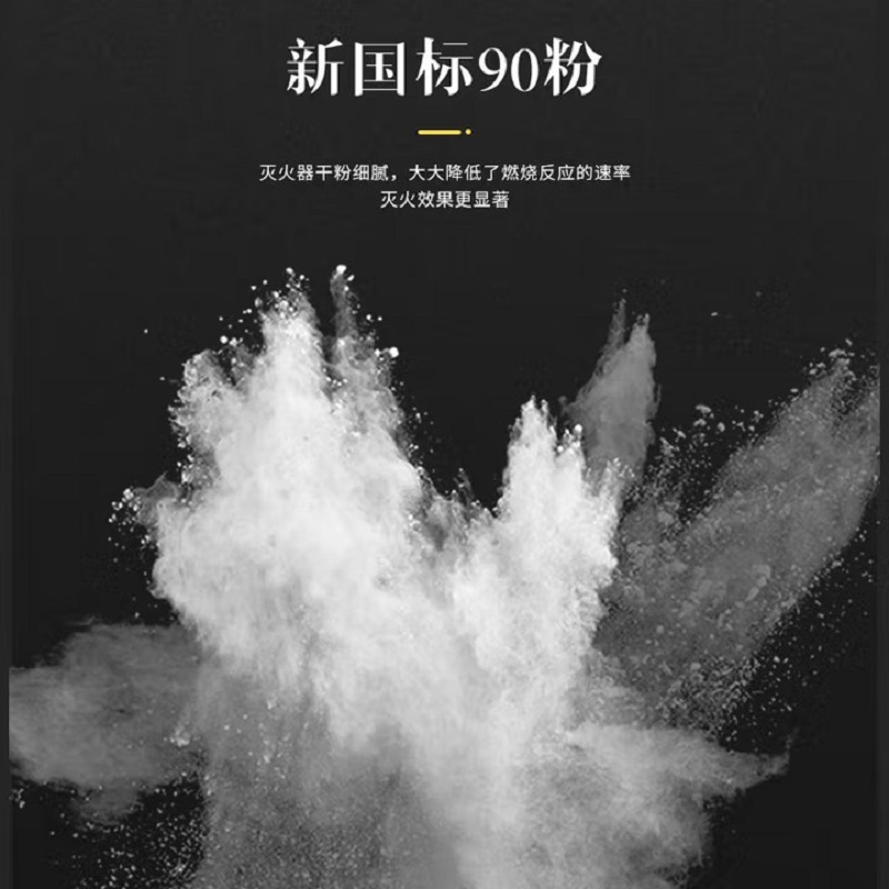 桂安 手提式干粉灭火器 2025新国标 单位:具高清大图