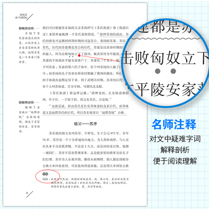 西游记 [正版]同系苏东坡传 作品原版苏轼传书 国学大师林语堂著 名人人物传记 历史名臣传 名人传书苏轼传记名人传记小学高清大图