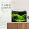 热弯鱼缸免换水生态鱼缸小型水族箱超白玻璃桌面水缸家用