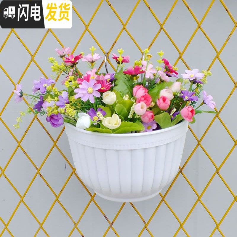 三维工匠阳台客厅悬挂墙式壁挂半圆创意绿萝吊兰式塑料花盆装饰送挂钩配件 粉色6个(送配件) 大号[长25cm]花盆容器图片
