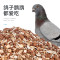 鸽子保健砂1000g鸟用沙鸽子饲料信鸽赛鸽用品鹦鹉红土补钙鸟粮鸟食鸽2L