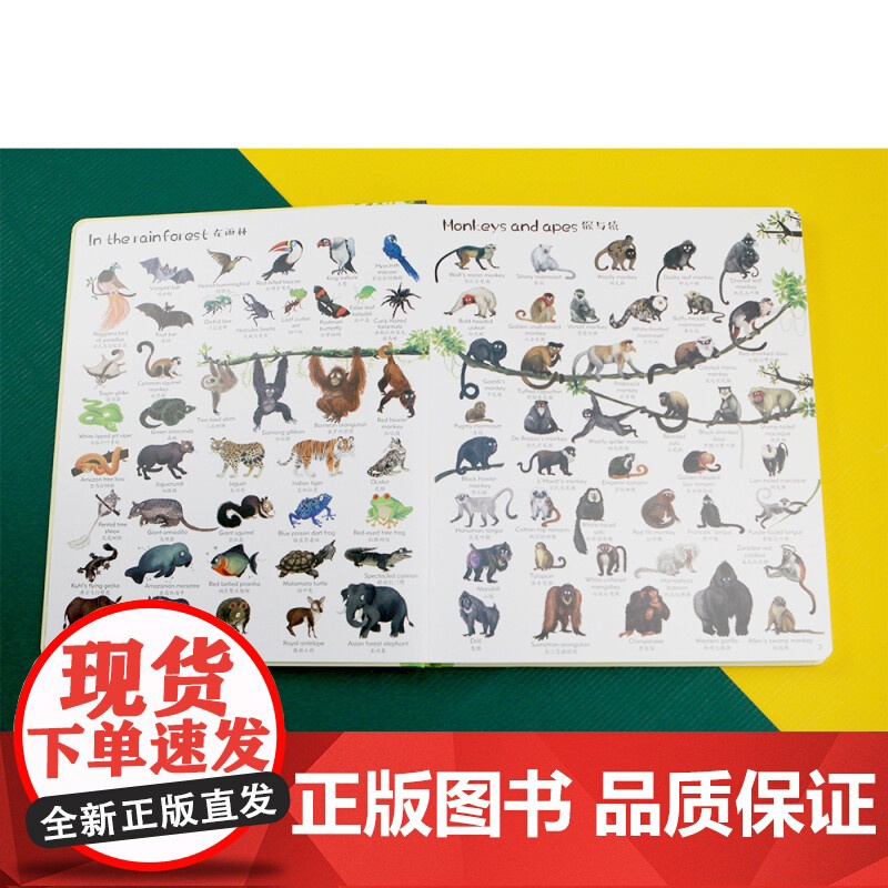 1000种动物 3-10岁 杰西卡·格林威尔 著 少儿英语高清大图