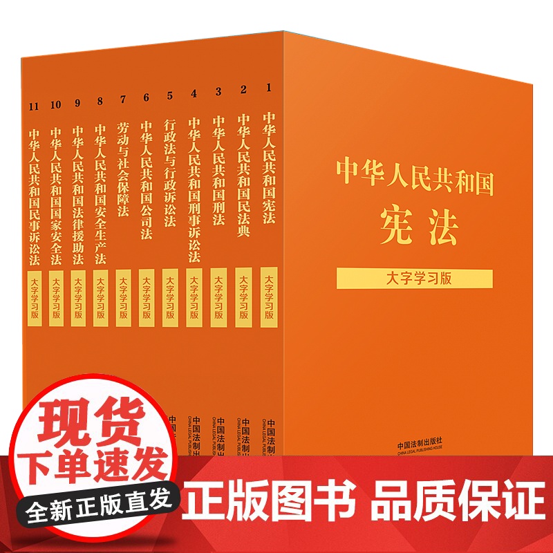 大字学习版10册 宪法+民法典+刑法+刑事诉讼法+行政法与行政诉讼法+公司法+劳动与社会保障法+安全生产法+法律援助法+