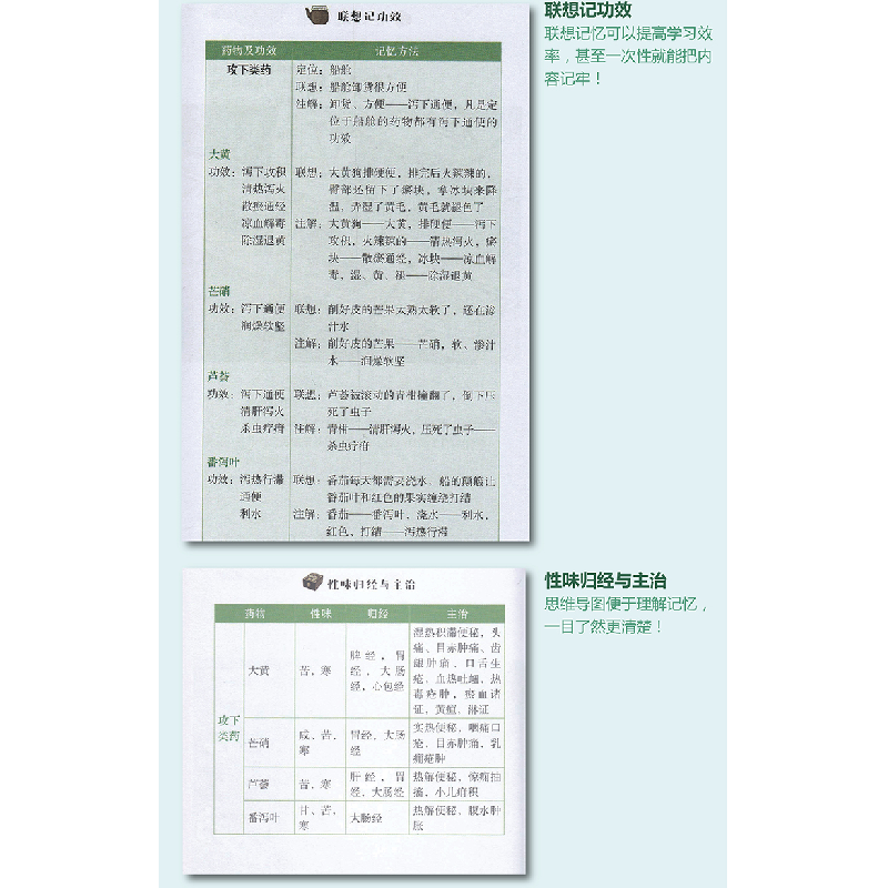 醉染图书“脑”速记学9787535971074高清大图