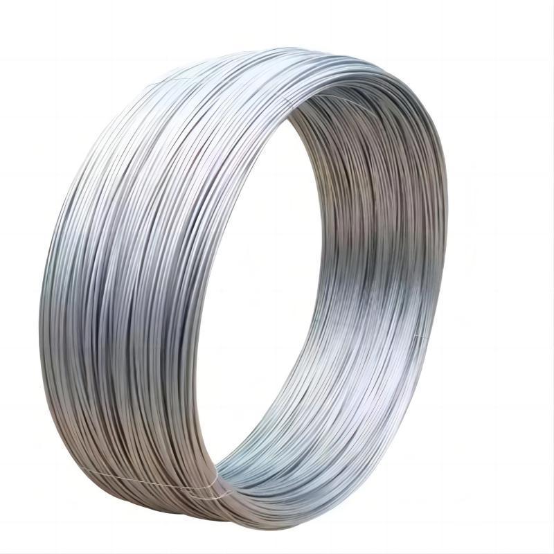 镀锌低碳钢钢丝 20 0.9mm kg高清大图