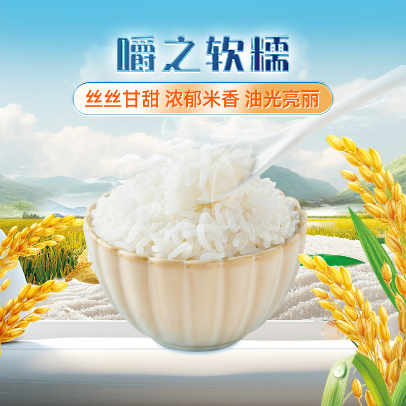 十月稻田五常大米5kg 东北大米10斤 年货礼品高清大图