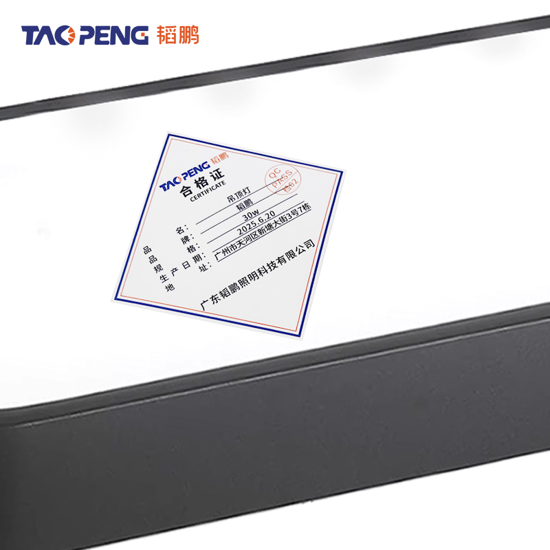 韬鹏 吊顶灯 30w 个高清大图