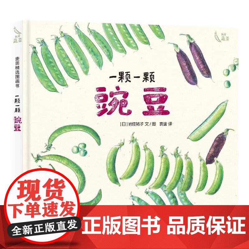 一颗一颗豌豆精装硬壳麦田精选图画书适合3-6周岁植物蔬菜科普绘本少年儿童出版社正版高清大图