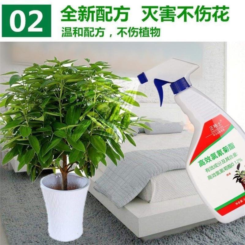 花盆小飞虫杀剂家用盆栽杀虫的室内除夏天里有怎么办专神器绿植植物杀虫剂红瓶报价 参数 图片 视频 怎么样 问答 苏宁易购