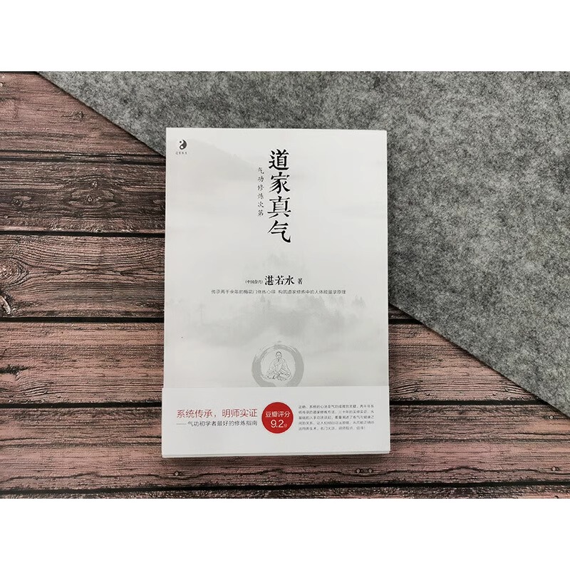 [正版]道家真气(气功修炼次第)(中国台湾)湛若水著 传承两千余年的梅花门修炼心得 气功初学者修炼入门指南 海南出版社高清大图