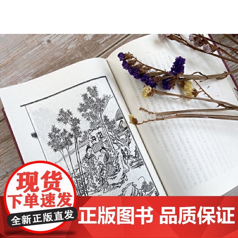 红楼梦 三家评本(全三册)(繁体竖排) (清)曹雪芹,高鹗 著(清)王希廉 姚燮 张新之 评 古籍今注今译/各种艺术典型高清大图