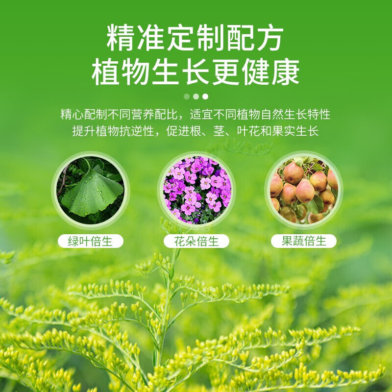 德沃多肥料 发财树植物营养液600ml+活力素50ml+生根粉园艺绿植花肥料叶面肥 单位:瓶