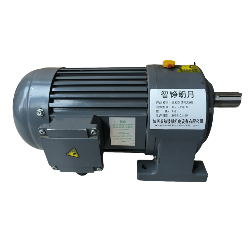 智铮朗月 三相异步电动机 YE3-160L-6 台高清大图