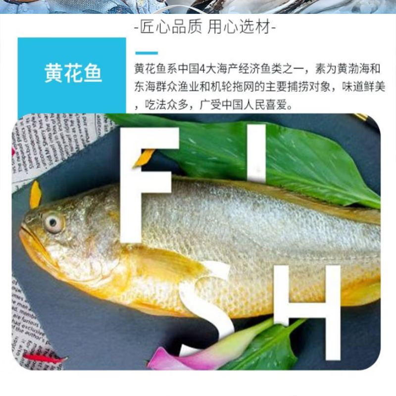 鲜禾鲜 海捕小将国产海鲜礼盒D 甄选美味 新鲜营养 满足你的味蕾 4200g 单盒价高清大图