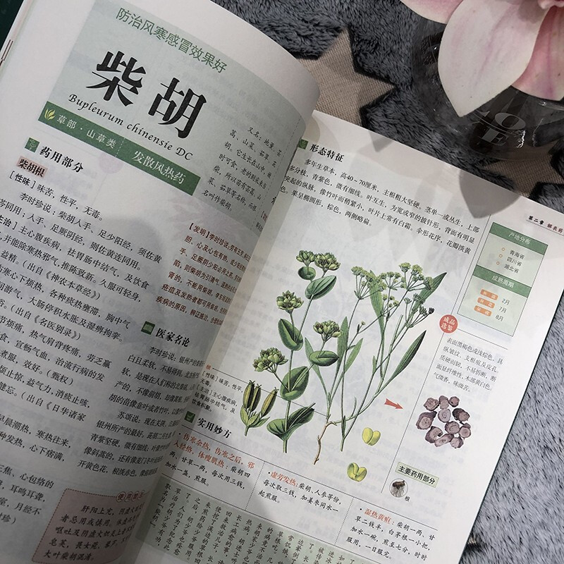 [正版] 本草纲目(精要) 全彩图解 贺济仁/编著 中国家庭常用工具书 享誉世界的中医药巨典 慧田L高清大图