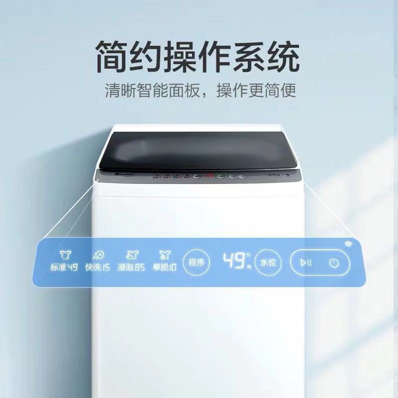 全自动洗衣机 小天鹅8公斤 免清洗 全自动家用洗衣机