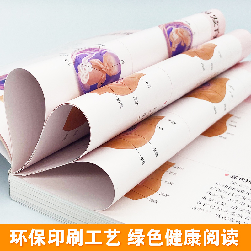 [正版]怀孕一天一页怀孕书籍十月怀胎知识百科全书孕妇孕期书籍大全怀孕看的书全程孕妈妈备孕初期孕妇胎教书准妈妈爸爸育儿阅高清大图