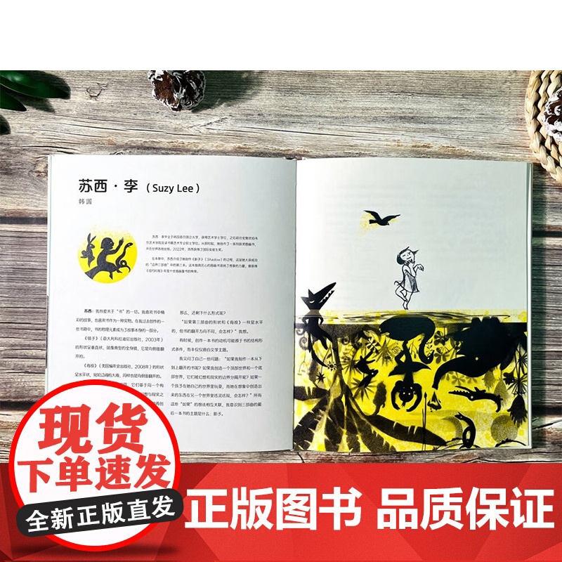 图画书创作谈 乔恩·克拉森等 著 美术普及高清大图