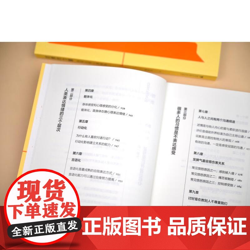 述情的力量:如何让别人理解我? 《爱的五种能力》作者、资深心理咨询师赵永久新作 广西师范大学出版社高清大图