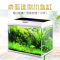 新款生态超白造景玻璃鱼缸水族箱热带鱼金鱼缸创意桌面鱼缸