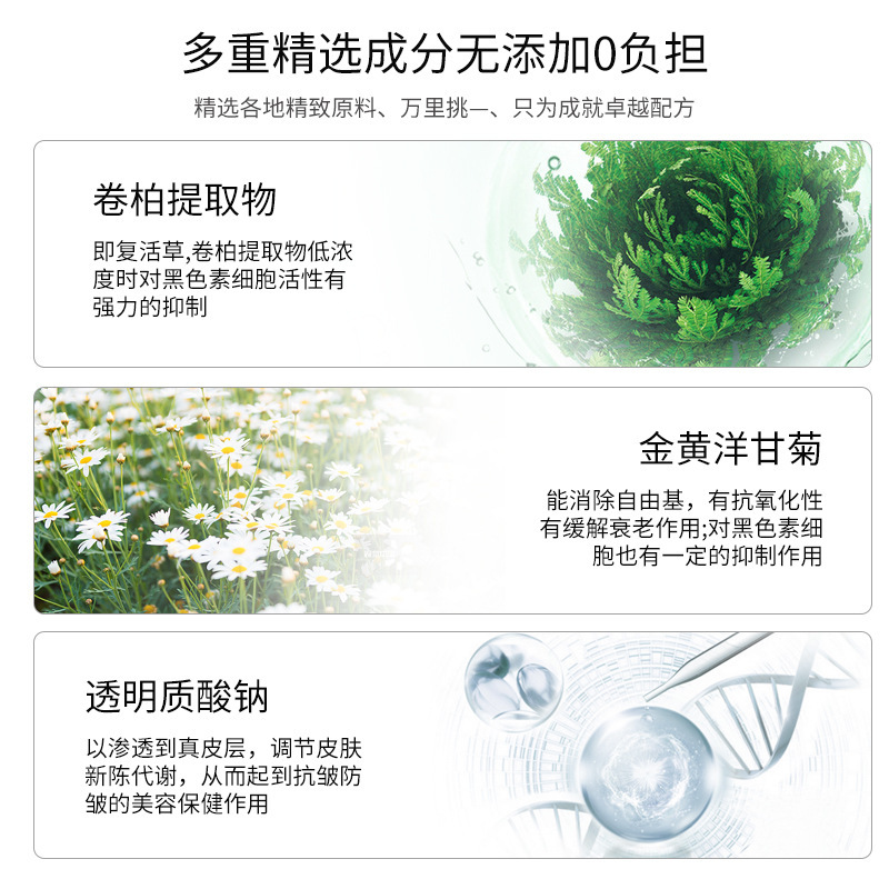 复活草修复敏感面膜 深度滋润补水保湿提亮肤色海藻面膜睡眠面膜