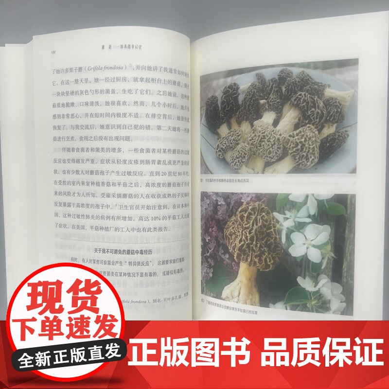 蘑菇 一部真菌奇幻史 格雷格·马利 著 生物科学高清大图