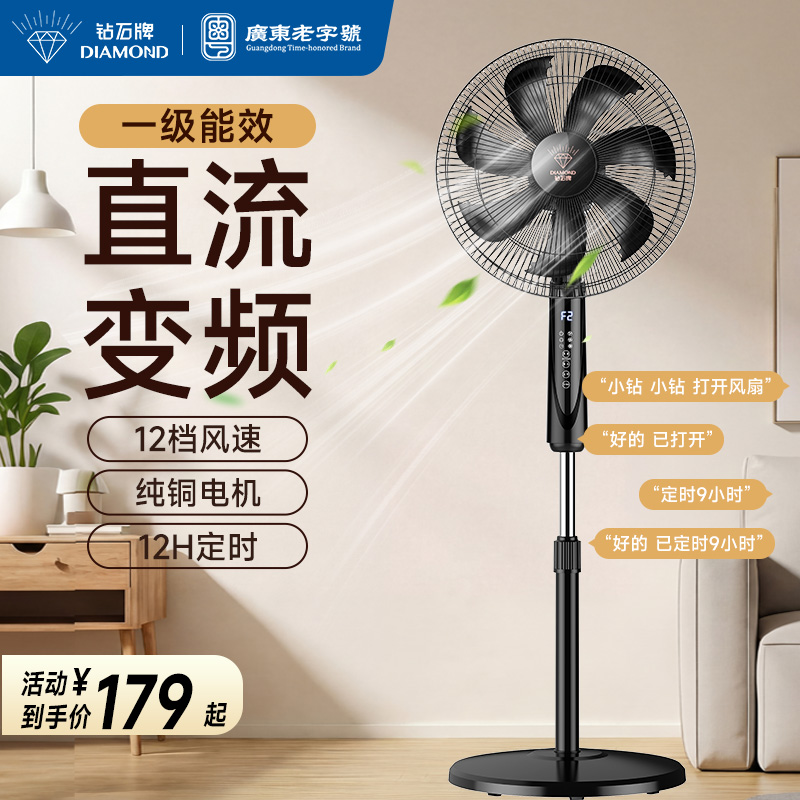 钻石牌DFS-ZFR07语音款