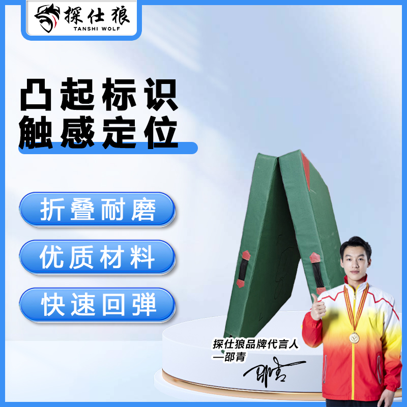 探仕狼 TSL-T211仰卧卷腹训练垫仰卧起坐折叠垫【牛津布两折叠】 5个装 200*100*10cm