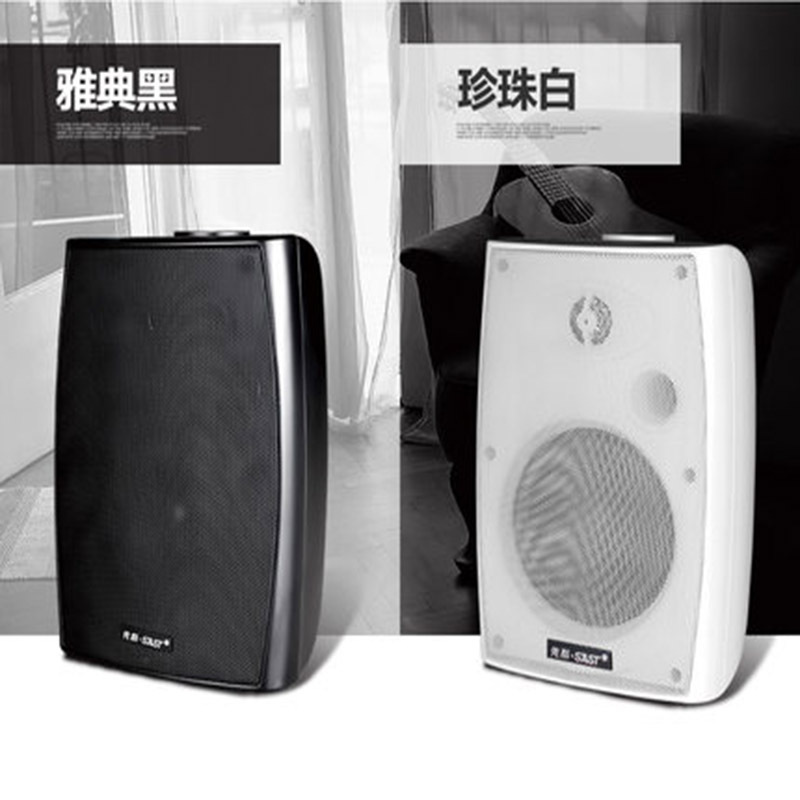 SAST/先科 D40 壁挂式音箱 公共广播挂壁音响教室教学商店超市会议定压喇叭同轴 20W 4寸 黑色