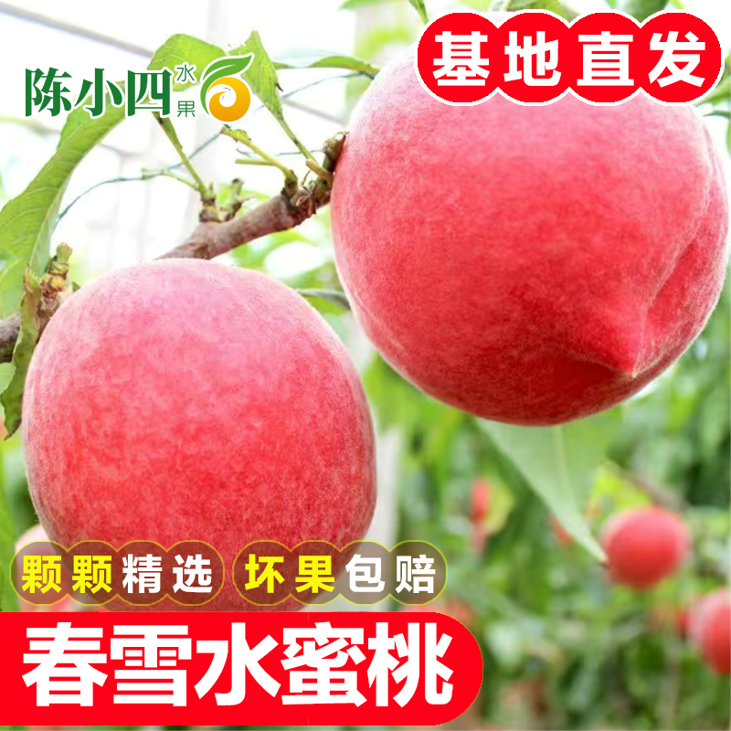 [新上市]新鲜水蜜桃春雪水蜜桃 3斤 桃子 新鲜水果 生鲜水果 陈小四水果 特产