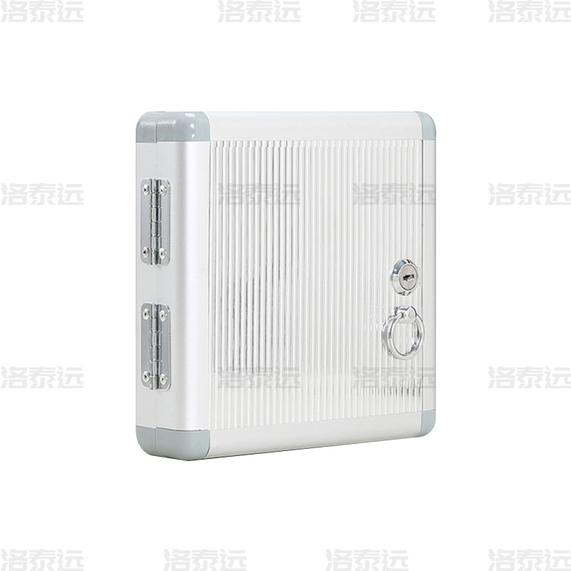 洛泰远 铝合金钥匙箱壁挂钥匙柜钥匙管理箱 12位