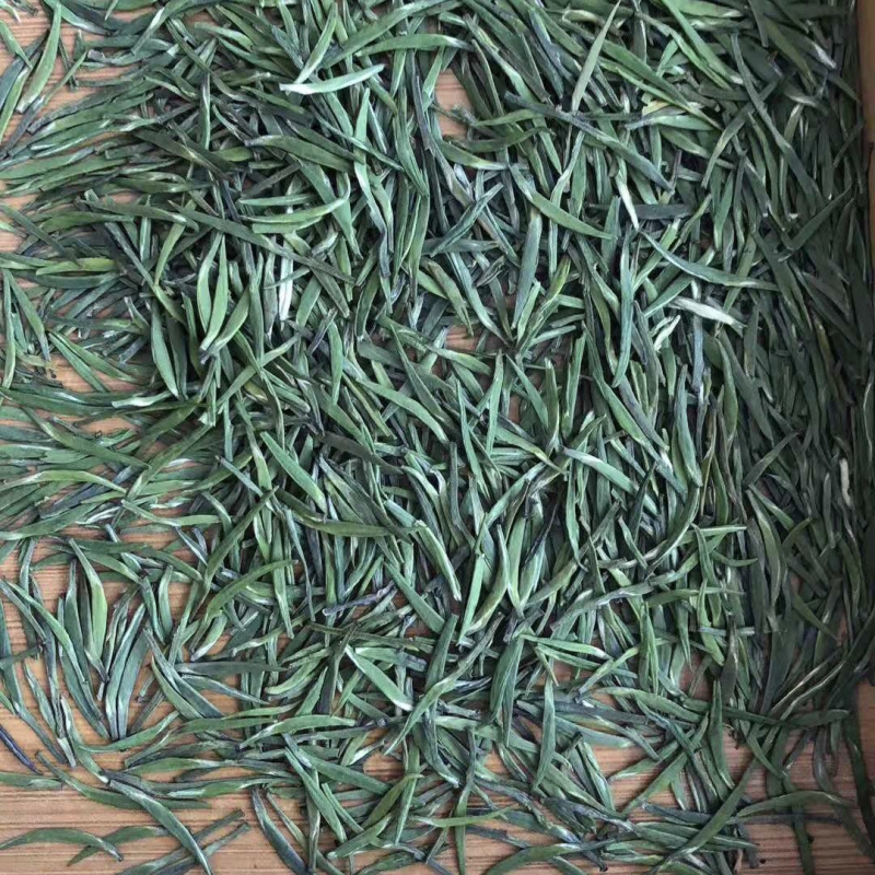 B2B 新茶 雀舌扁茶明前特级太湖翠竹茶叶500g礼盒装