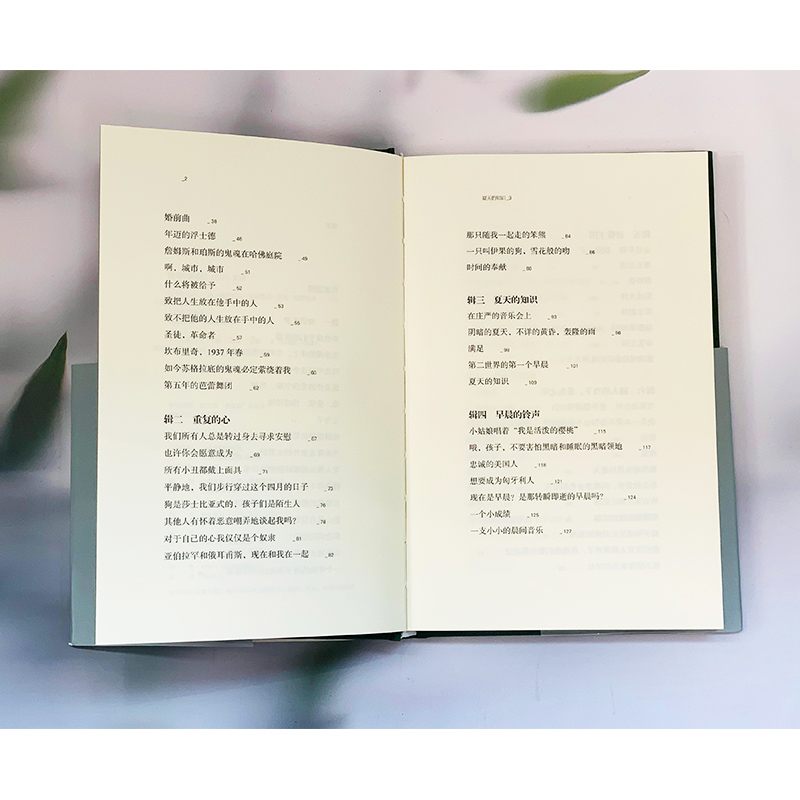 [正版]夏天的知识(美国现代诗人德尔莫尔·施瓦茨中译本诗集,在知识、理性、想象之间找到诗意的平衡,荣获博林根诗歌奖)高清大图