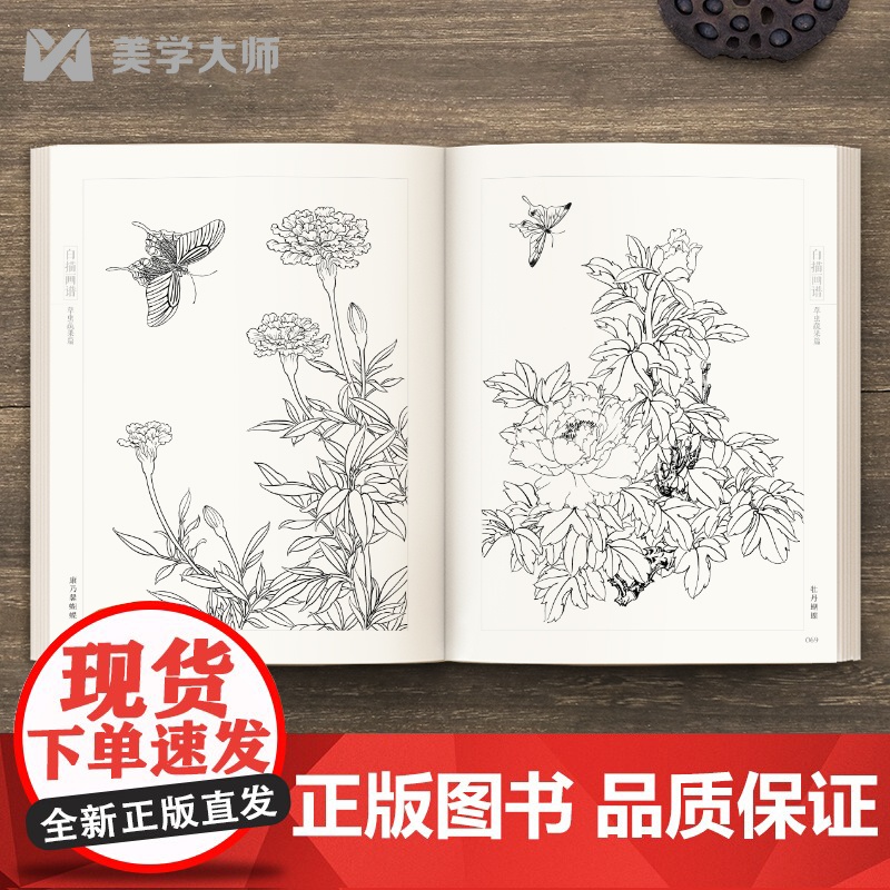 2022新书 白描画谱 草虫蔬果篇 中国工笔技法画册集书籍入门初自学者零基础教程材成人手绘临摹勾线名家底稿图大全美术绘画高清大图