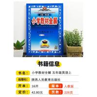 2021版薛金星小学教材全解五年级上册英语人教版 小学生5年级英语书课堂笔记金星教育全解全析课本详解教材同步训练习册教辅