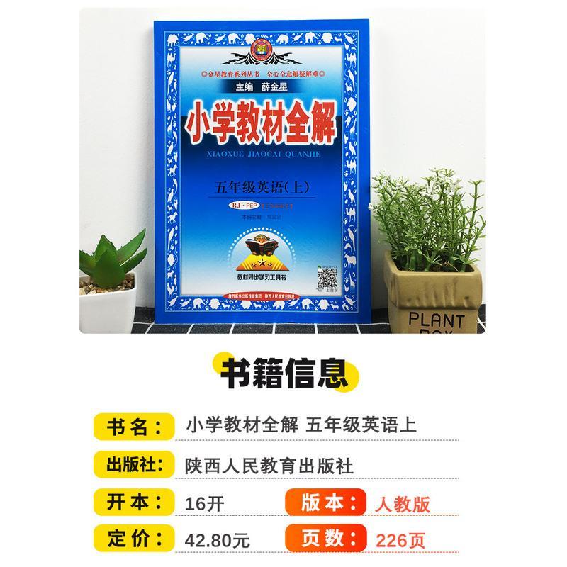 2021版薛金星小学教材全解五年级上册英语人教版 小学生5年级英语书课堂笔记金星教育全解全析课本详解教材同步训练习册教辅