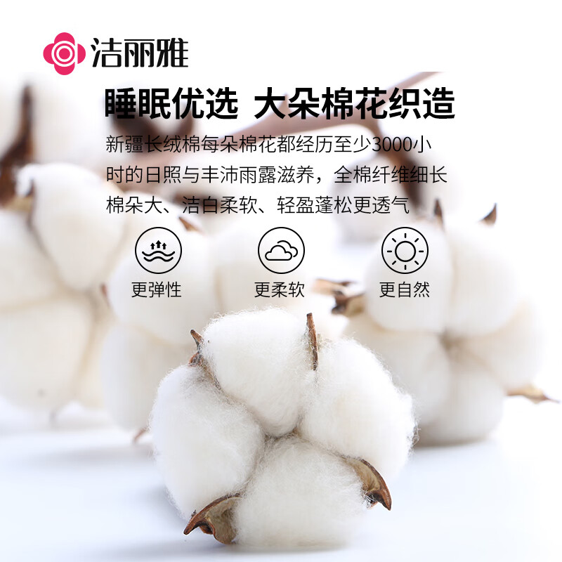 洁丽雅A类面料 100%新疆长绒棉 棉花秋冬被子200*230cm 4斤高清大图