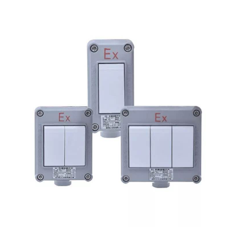 防爆开关 10A,220V,单开