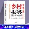 【正版】乡村振兴全程操盘及案例解析 李俊原著农业改革政策学 乡村振兴战略规划设计 农业江村经济学基础知识解读中国政中略