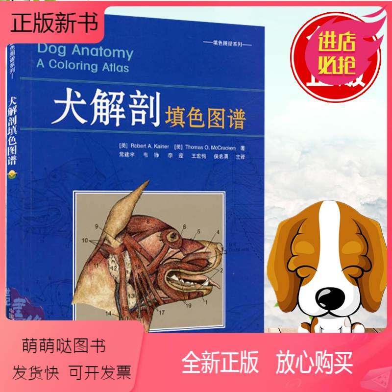 犬の臨床解剖 - www.perucho.gob.ec