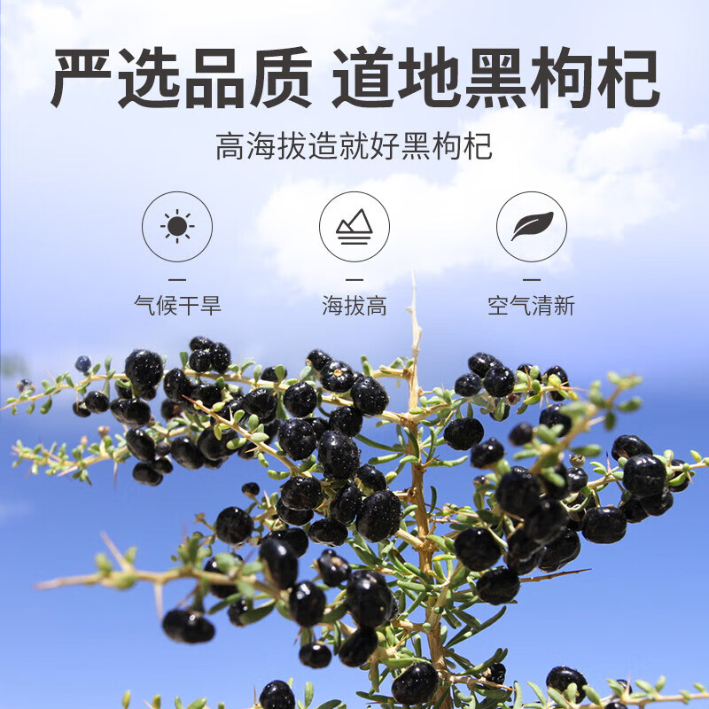 方家铺子黑枸杞50g五星款1.25977唇齿芳香杞香味浓色香俱全高清大图